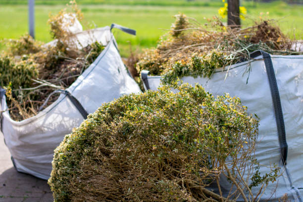 Best Shed Removal  in Columbus, IN